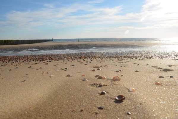 Foto van Appartement bij Noordzee Dishoek Strand - Vakantiehuis in Koudekerke - AreaSummer5KM