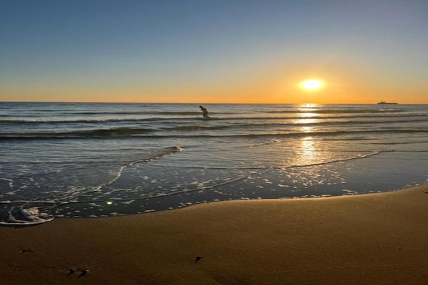 Foto van Appartement bij Noordzee Dishoek Strand - Vakantiehuis in Koudekerke - AreaSummer5KM