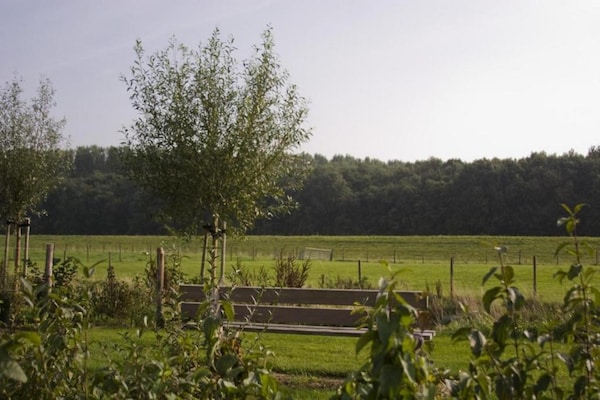 Foto van Verblijf met uitzicht op de dijk en terras - Vakantiehuis in Wemeldinge - AreaSummer20KM