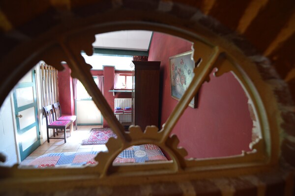 Foto van Vakantiehuis in Bergen op Zoom met tuin - Vakantiehuis in Bergen op Zoom - Ambiance