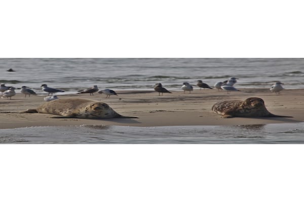 Foto van Appartement in Colijnsplaat met Sauna en Jacuzzi - Vakantiehuis in Colijnsplaat - AreaSummer5KM