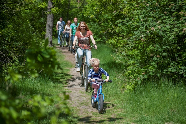 Foto van Vakantiehuis bij Breda & Biesbosch Park - Vakantiehuis in Oosterhout - Ambiance
