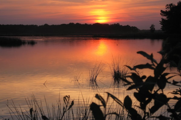 Foto van Boerderij in Ulicoten bij Bosroutes - Vakantiehuis in Ulicoten - AreaSummer5KM