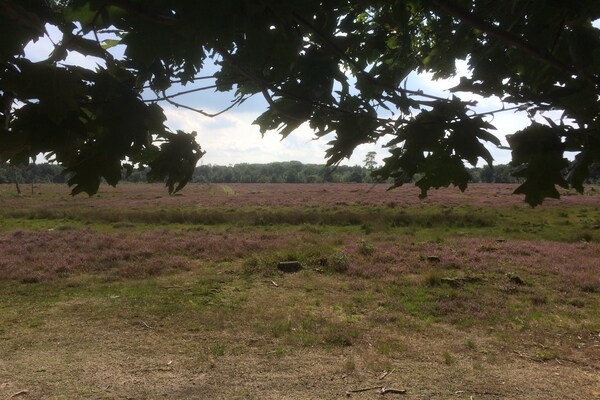 Foto van Boerderij in Ulicoten bij Bosroutes - Vakantiehuis in Ulicoten - AreaSummer5KM