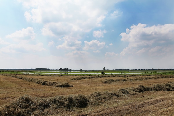 Foto van Boerderij in Ulicoten bij Bosroutes - Vakantiehuis in Ulicoten - ViewSummer