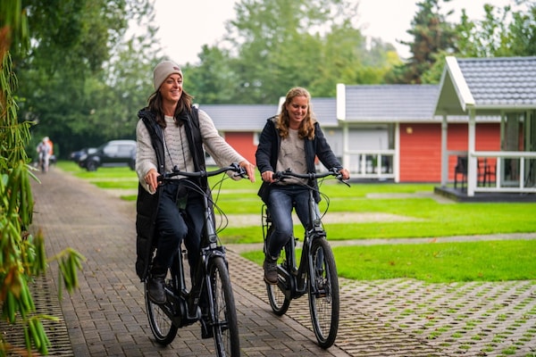 Foto van Tiny House in Brabant met Terras - Vakantiehuis in Oirschot - ParkFacilities