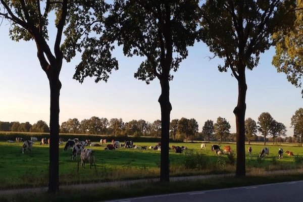 Foto van Tiny House in Brabant met Terras - Vakantiehuis in Oirschot - AreaSummer20KM