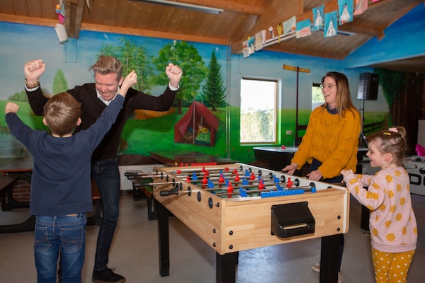 Foto van Tiny House in Brabant met Terras - Vakantiehuis in Oirschot - ParkFacilities