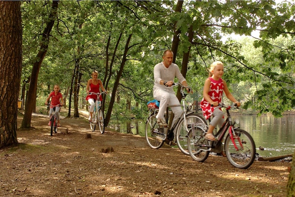 Foto van Lodge in Bospark bij natuurgebied - Vakantiehuis in Mierlo - Facilities