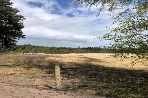 Foto van Chalet nabij Eindhoven in groene omgeving - Vakantiehuis in Mierlo - AreaSummer5KM