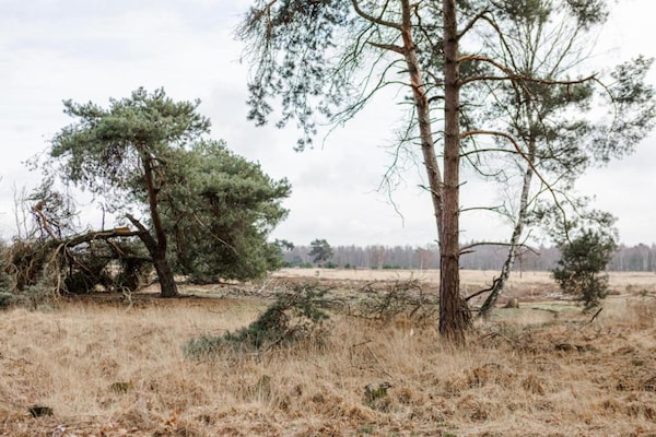 Foto van Chalet nabij Eindhoven in groene omgeving - Vakantiehuis in Mierlo - AreaSummer5KM