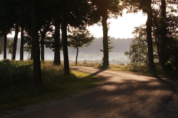 Foto van Chalet nabij Eindhoven in groene omgeving - Vakantiehuis in Mierlo - AreaSummer5KM