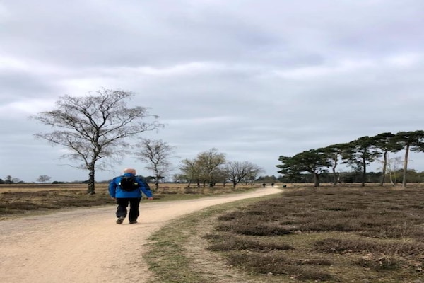 Foto van Chalet nabij Eindhoven in groene omgeving - Vakantiehuis in Mierlo - AreaSummer5KM