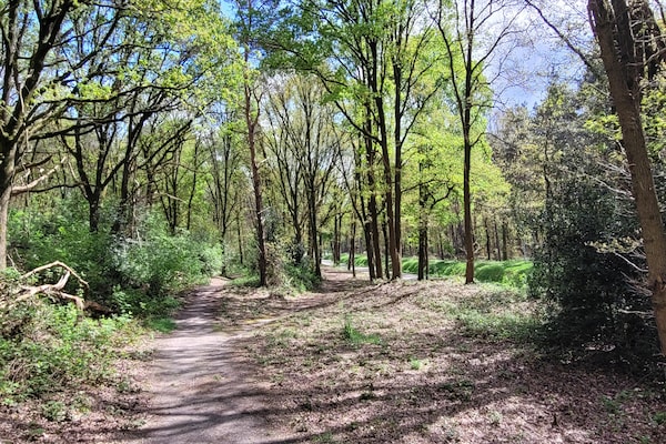 Foto van Villa in Overloon bij Oorlogsmuseum en Zoo - Vakantiehuis in Overloon - AreaSummer5KM