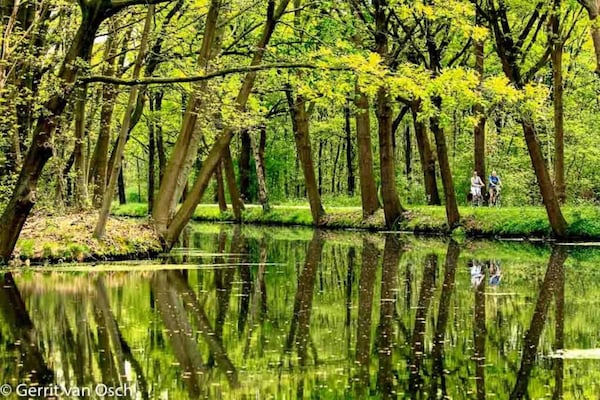 Foto van Vakantiehuis in Well bij Maasduinen - Vakantiehuis in Well - AreaSummer20KM