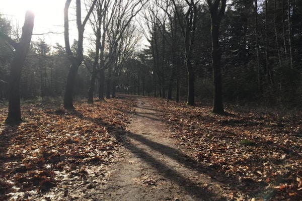 Foto van Huisje in Leenderbos bij natuurgebied - Vakantiehuis in Leende - AreaSummer20KM