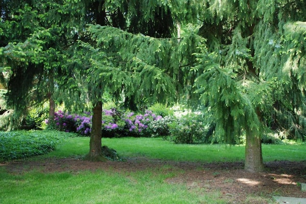 Foto van Safaritent op vakantiepark - Vakantiehuis in Arcen - AreaSummer20KM