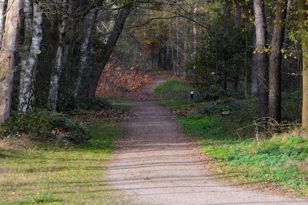 Foto van Ontspannende natuurontsnapping - Vakantiehuis in Heel - AreaSummer5KM