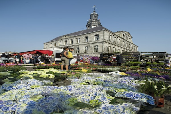 Foto van Maastricht Comfort Villas - Vakantiehuis in Maastricht - AreaSummer5KM