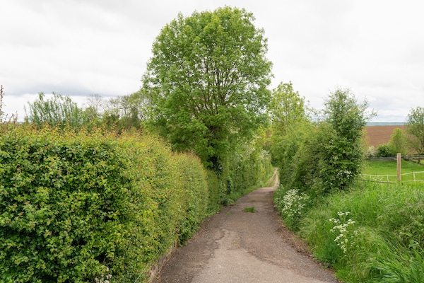 Foto van Appartement in Ubachsberg bij Routes - Vakantiehuis in Voerendaal - AreaSummer5KM