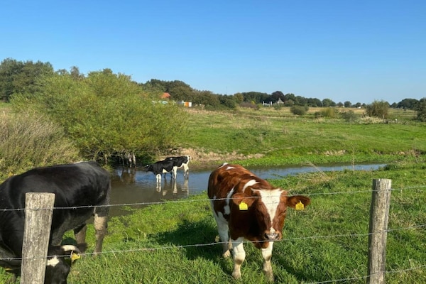 Foto van Vakantiehuis in Plasmolen bij Meren - Vakantiehuis in Plasmolen - AreaSummer20KM