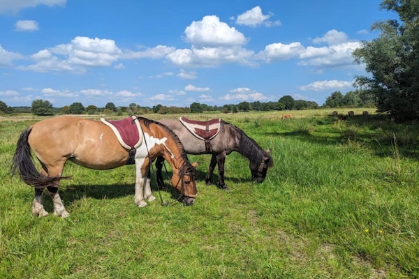 Foto van Vakantiehuis in Plasmolen bij Meren - Vakantiehuis in Plasmolen - AreaSummer20KM
