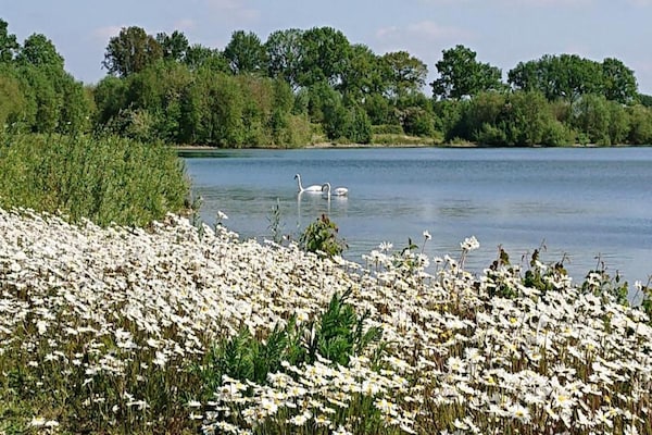 Foto van Vakantiehuis in Plasmolen bij Meren - Vakantiehuis in Plasmolen - AreaSummer20KM