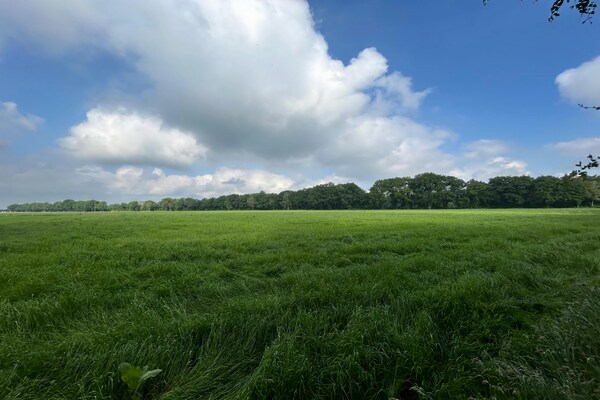 Foto van Vakantiehuis in Zelhem bij bos en golfbaan - Vakantiehuis in Zelhem - AreaSummer1KM