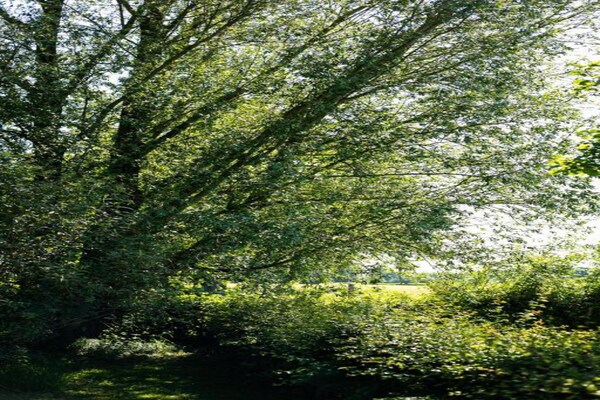 Foto van Gezellige vakantie op het platteland - Vakantiehuis in De Heurne - AreaSummer20KM