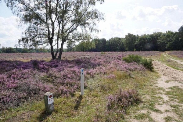 Foto van Stijlvol Toevluchtsoord in Hellendoorn - Vakantiehuis in Hellendoorn - AreaSummer5KM
