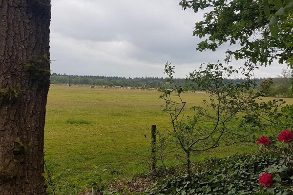 Foto van Charmante schuilplaats nabij het bos - Vakantiehuis in Hellendoorn - AreaSummer5KM