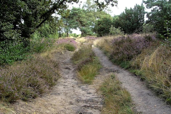 Foto van Vakantiehuis in Hellendoorn bij bos - Vakantiehuis in Hellendoorn - AreaSummer5KM