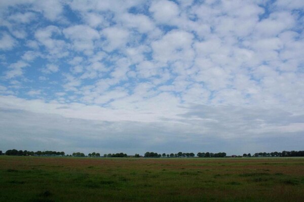 Foto van Vakantiehuis in Hellendoorn bij bos - Vakantiehuis in Hellendoorn - AreaSummer5KM