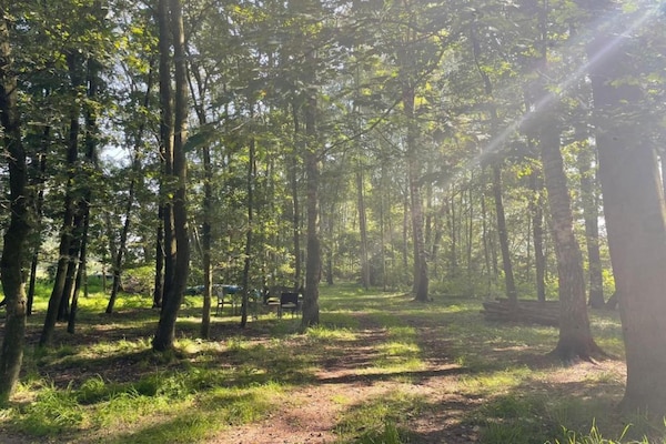 Foto van Rustiek-Chique Vakantiehuis - Vakantiehuis in Enter - AreaSummer20KM