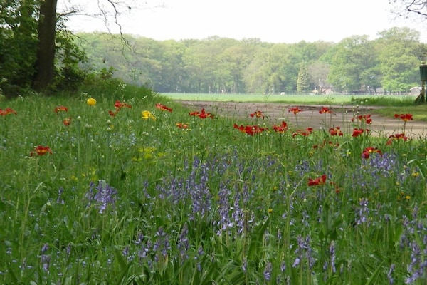 Foto van Rustiek-Chique Vakantiehuis - Vakantiehuis in Enter - AreaSummer20KM