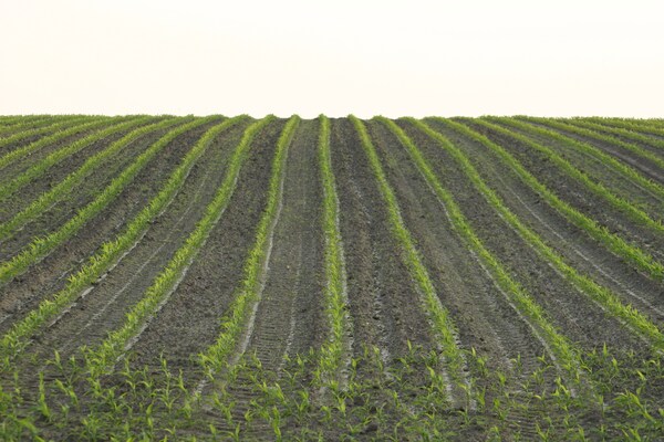 Foto van Chalet in Nederland met Privétuin - Vakantiehuis in Ootmarsum - AreaSummer5KM