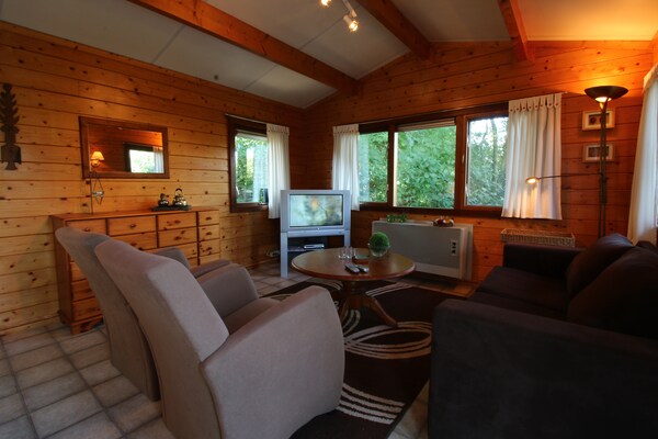 Foto van Chalet in Nederland met Privétuin - Vakantiehuis in Ootmarsum - LivingRoom
