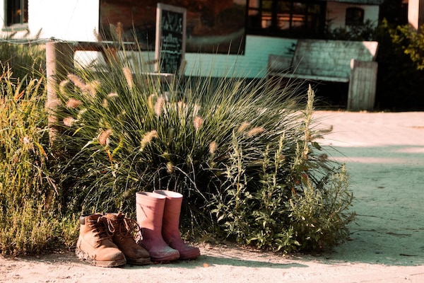 Foto van Comfortabele boshut met open ruimte. - Vakantiehuis in Balkbrug - AreaSummer1KM