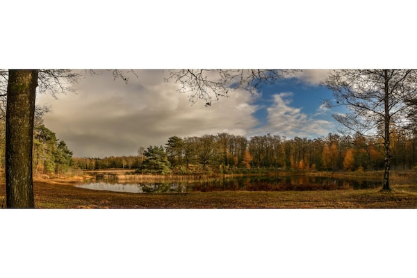 Foto van Comfortabele boshut met open ruimte. - Vakantiehuis in Balkbrug - AreaSummer20KM