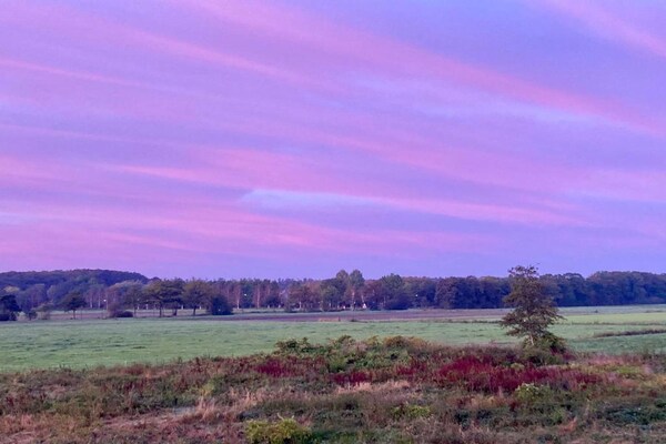 Foto van Ontspannend toevluchtsoord in het bos - Vakantiehuis in Hardenberg (rheezerveen) - AreaSummer20KM
