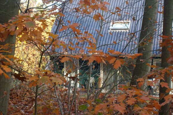 Foto van Ontspannend toevluchtsoord in het bos - Vakantiehuis in Hardenberg (rheezerveen) - ExteriorWinter