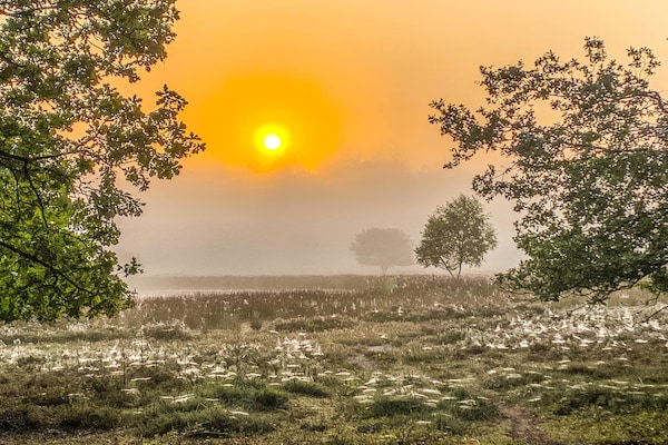 Foto van Gezellig Vakantiehuis in een heerlijke omgeving. - Vakantiehuis in De Kiel - AreaSummer20KM