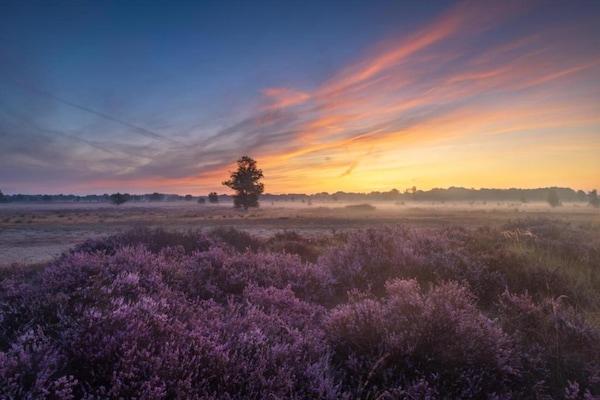 Foto van Gezellig Vakantiehuis in een heerlijke omgeving. - Vakantiehuis in De Kiel - AreaSummer20KM