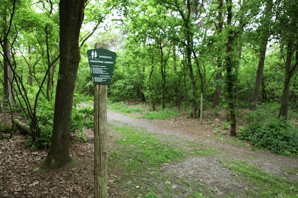 Foto van Villa van de Veluwe Groep met grote vuurplaats - Vakantiehuis in Doornspijk - AreaSummer1KM