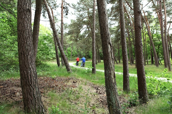 Foto van Villa van de Veluwe Groep met grote vuurplaats - Vakantiehuis in Doornspijk - AreaSummer1KM