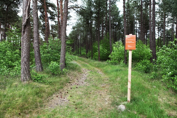 Foto van Villa van de Veluwe Groep met grote vuurplaats - Vakantiehuis in Doornspijk - AreaSummer5KM
