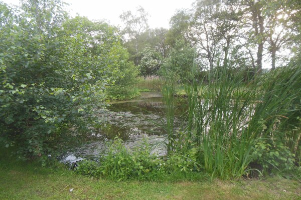 Foto van Villa in Luttenberg bij Nationaal Park - Vakantiehuis in Luttenberg - GardenSummer