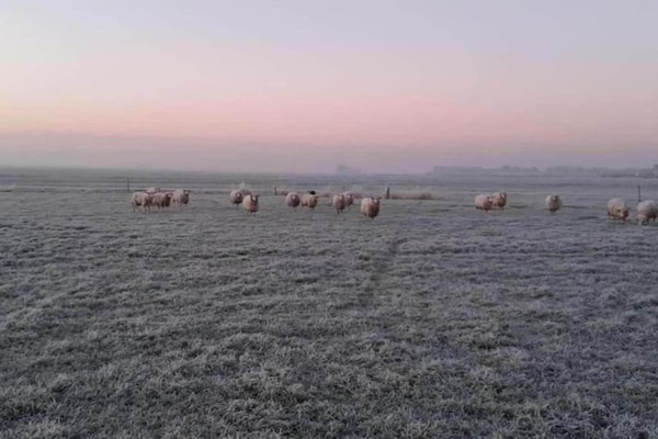 Foto van Huis in Sint Nicolaasga - Vakantiehuis in Sint Nicolaasga - AreaSummer20KM