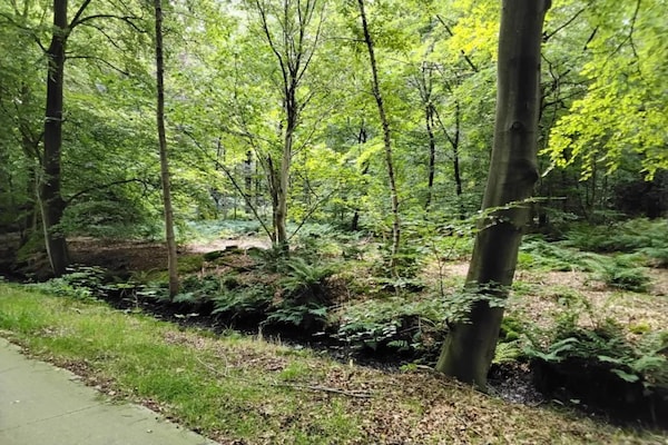 Foto van Huis in Sint Nicolaasga - Vakantiehuis in Sint Nicolaasga - AreaSummer20KM