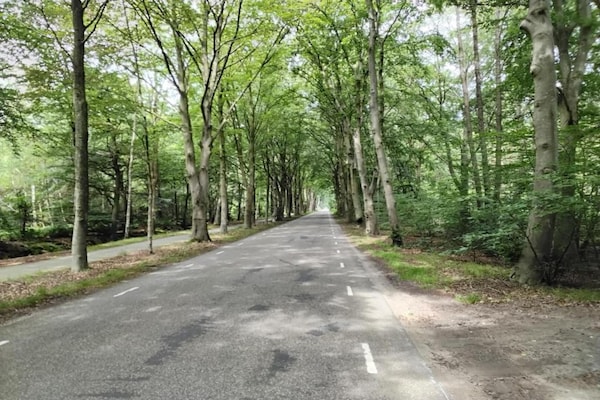 Foto van Chalet in Friesland bij grote meren - Vakantiehuis in Sint Nicolaasga - AreaSummer20KM